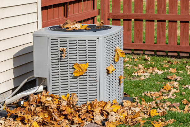 Best Local HVAC companies  in Laingsburg, MI